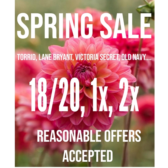 Reasonable Offers Will Be Accepted - Picture 3 of 4